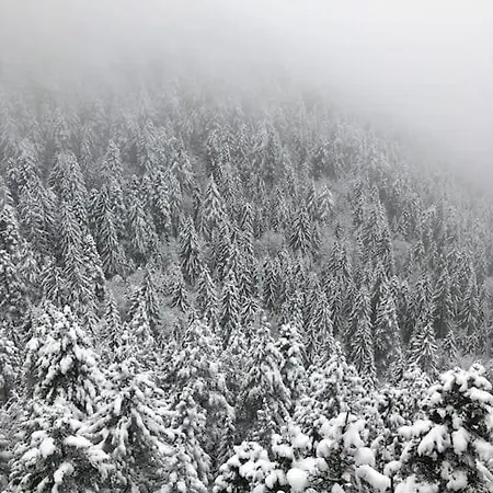 Breathtaking Mountain View 3 Bedrooms 公寓