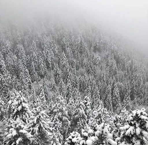 Breathtaking Mountain View 3 Bedrooms Daire