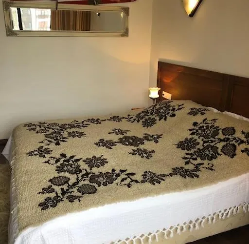 Breathtaking Mountain View 3 Bedrooms Daire *